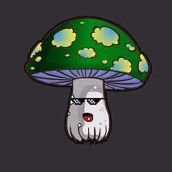 Psilly Head #2363
