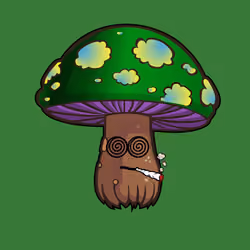 Psilly Head #4113