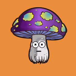 Psilly Head #116