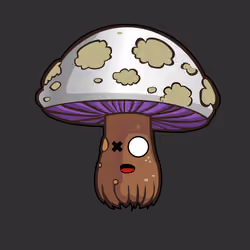 Psilly Head #1885