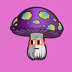 Psilly Head #2485