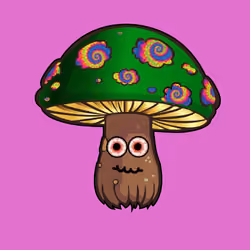 Psilly Head #2533