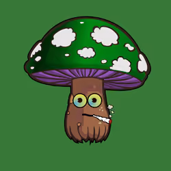 Psilly Head #3103