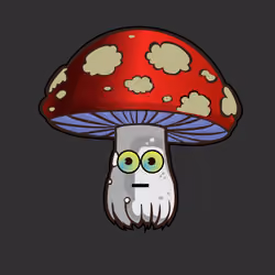 Psilly Head #2426