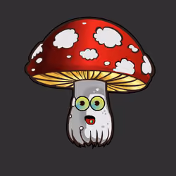 Psilly Head #2552