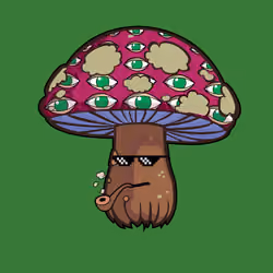 Psilly Head #3794
