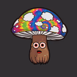 Psilly Head #3730