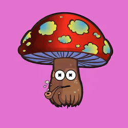 Psilly Head #3346