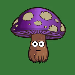 Psilly Head #1270