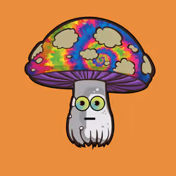 Psilly Head #882