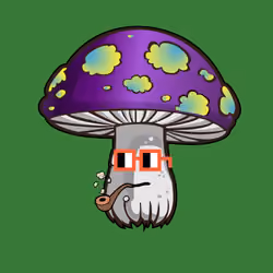Psilly Head #2638