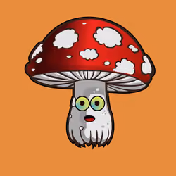 Psilly Head #3404