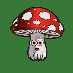 Psilly Head #130