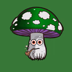 Psilly Head #2570