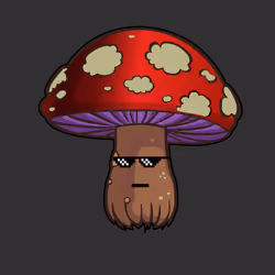 Psilly Head #3484