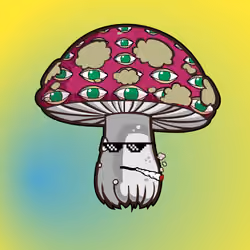 Psilly Head #3809