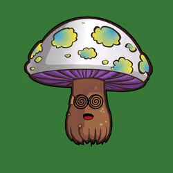 Psilly Head #3773