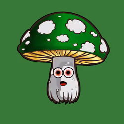 Psilly Head #1249