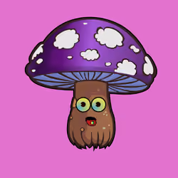Psilly Head #1168