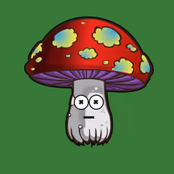 Psilly Head #2672