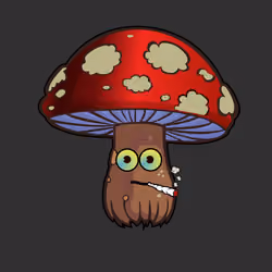 Psilly Head #1729