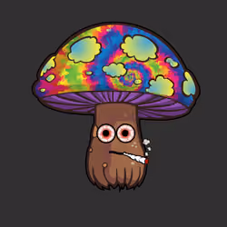 Psilly Head #2365