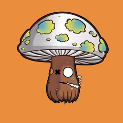Psilly Head #302