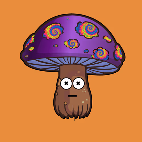 Psilly Head #892