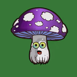Psilly Head #570
