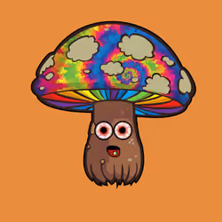 Psilly Head #3847