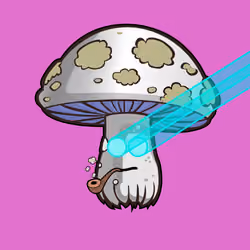 Psilly Head #2203