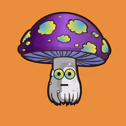 Psilly Head #24