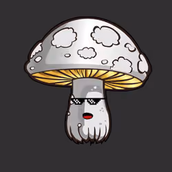 Psilly Head #2787