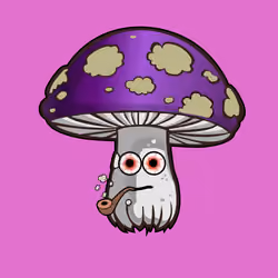 Psilly Head #3014