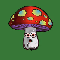 Psilly Head #1490