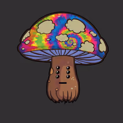 Psilly Head #842