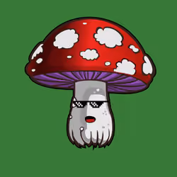 Psilly Head #94