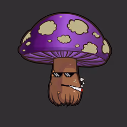 Psilly Head #3239