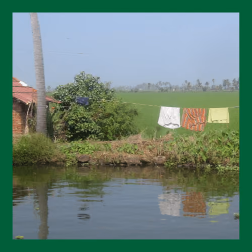 India 17