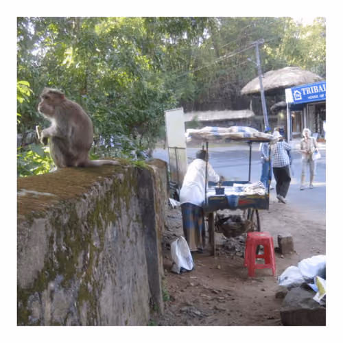 India 19