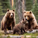 Family Bear