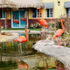 Pink House Inhabitants
