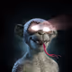 3817