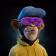 7167