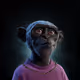 6658