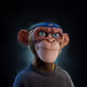 1176