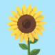 pixel bloom