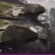 100400104