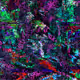 62