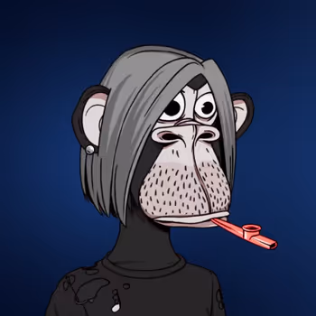 Caster Ape Yacht Club 1